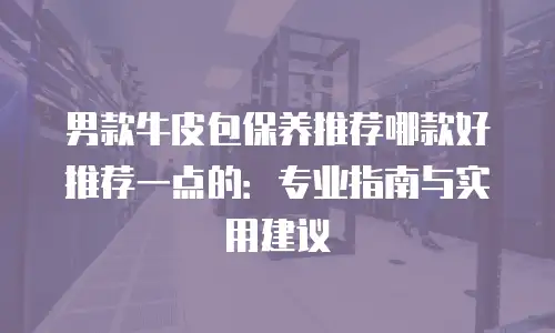 男款牛皮包保养推荐哪款好推荐一点的：专业指南与实用建议