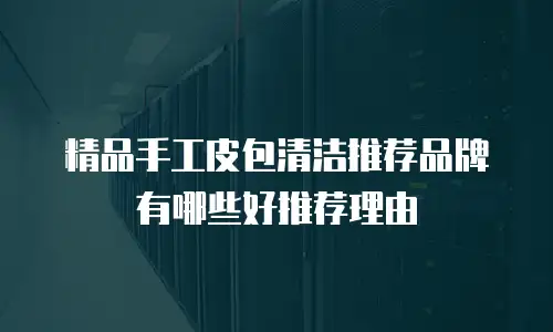 精品手工皮包清洁推荐品牌有哪些好推荐理由
