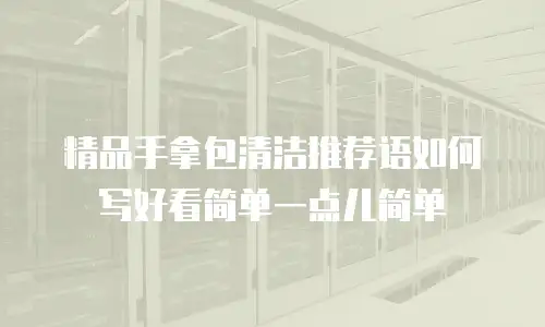 精品手拿包清洁推荐语如何写好看简单一点儿简单