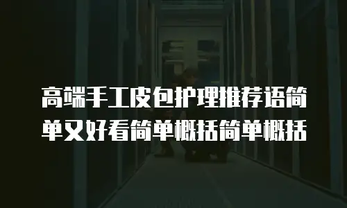 高端手工皮包护理推荐语简单又好看简单概括简单概括
