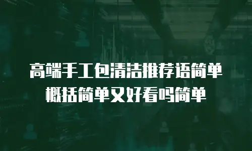 高端手工包清洁推荐语简单概括简单又好看吗简单