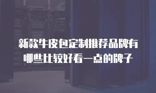 新款牛皮包定制推荐品牌有哪些比较好看一点的牌子