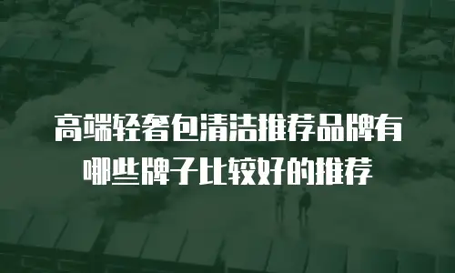 高端轻奢包清洁推荐品牌有哪些牌子比较好的推荐
