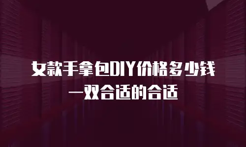 女款手拿包DIY价格多少钱一双合适的合适