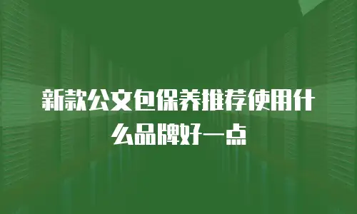 新款公文包保养推荐使用什么品牌好一点