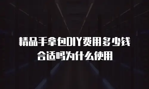 精品手拿包DIY费用多少钱合适吗为什么使用