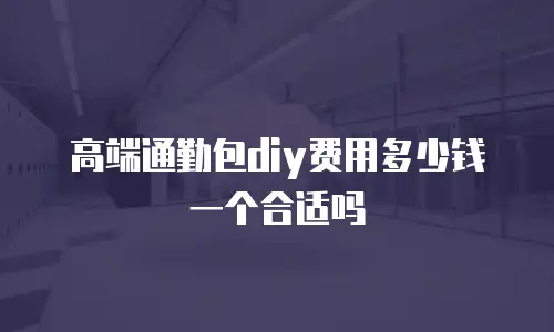 高端通勤包diy费用多少钱一个合适吗