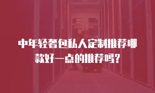 中年轻奢包私人定制推荐哪款好一点的推荐吗？