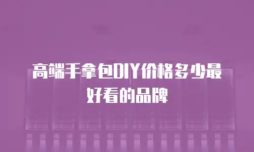 高端手拿包DIY价格多少最好看的品牌