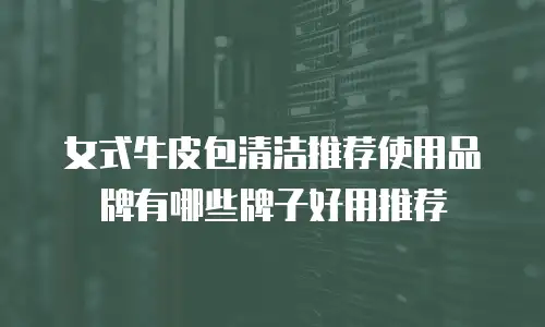 女式牛皮包清洁推荐使用品牌有哪些牌子好用推荐