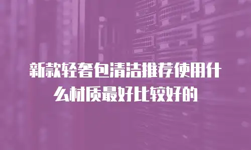 新款轻奢包清洁推荐使用什么材质最好比较好的
