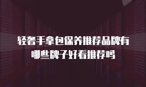 轻奢手拿包保养推荐品牌有哪些牌子好看推荐吗