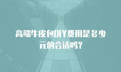 高端牛皮包DIY费用是多少元的合适吗？