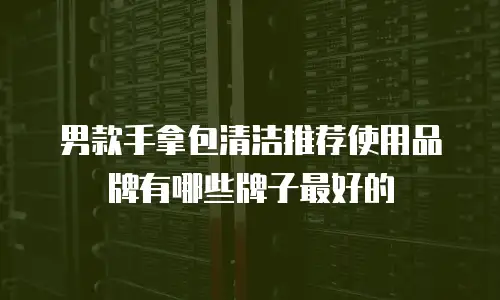 男款手拿包清洁推荐使用品牌有哪些牌子最好的