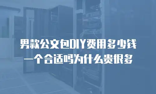 男款公文包DIY费用多少钱一个合适吗为什么贵很多