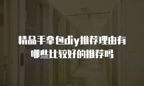 精品手拿包diy推荐理由有哪些比较好的推荐吗