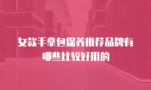女款手拿包保养推荐品牌有哪些比较好用的