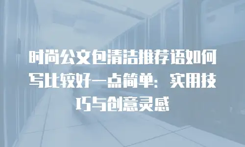 时尚公文包清洁推荐语如何写比较好一点简单：实用技巧与创意灵感