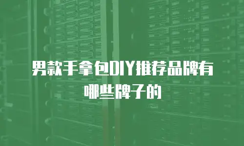 男款手拿包DIY推荐品牌有哪些牌子的