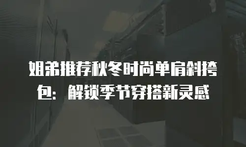 姐弟推荐秋冬时尚单肩斜挎包：解锁季节穿搭新灵感