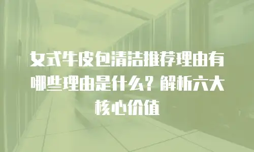 女式牛皮包清洁推荐理由有哪些理由是什么？解析六大核心价值
