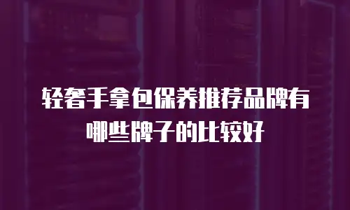 轻奢手拿包保养推荐品牌有哪些牌子的比较好