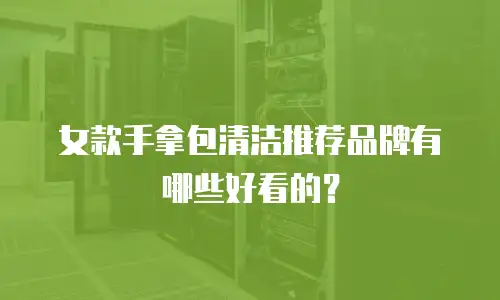 女款手拿包清洁推荐品牌有哪些好看的？