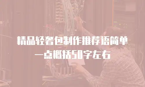 精品轻奢包制作推荐语简单一点概括50字左右