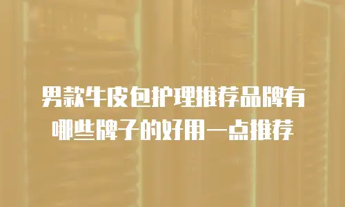 男款牛皮包护理推荐品牌有哪些牌子的好用一点推荐