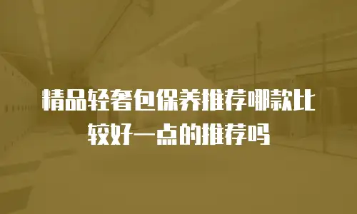 精品轻奢包保养推荐哪款比较好一点的推荐吗