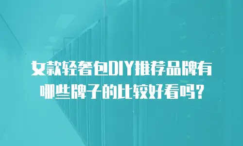 女款轻奢包DIY推荐品牌有哪些牌子的比较好看吗？