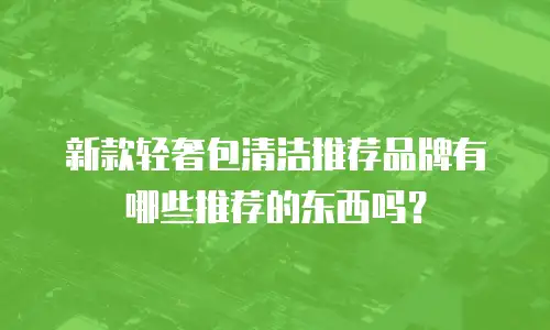 新款轻奢包清洁推荐品牌有哪些推荐的东西吗？