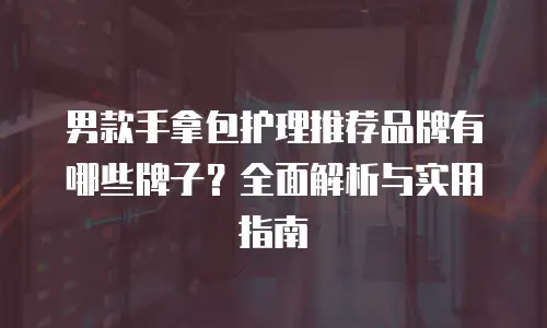 男款手拿包护理推荐品牌有哪些牌子？全面解析与实用指南