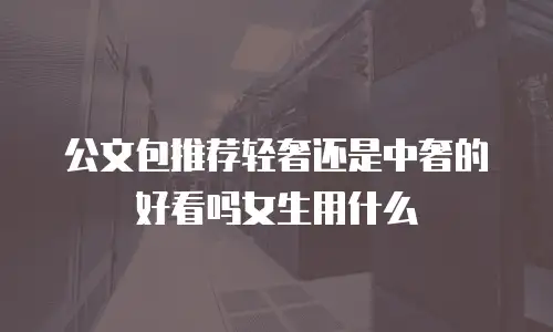 公文包推荐轻奢还是中奢的好看吗女生用什么