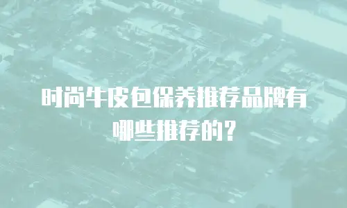 时尚牛皮包保养推荐品牌有哪些推荐的？