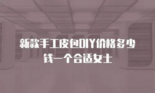 新款手工皮包DIY价格多少钱一个合适女士