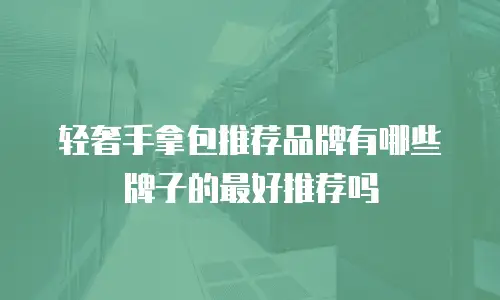 轻奢手拿包推荐品牌有哪些牌子的最好推荐吗