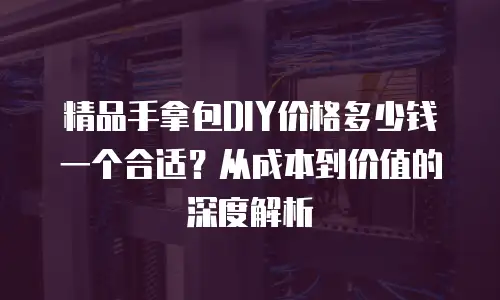 精品手拿包DIY价格多少钱一个合适？从成本到价值的深度解析