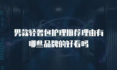 男款轻奢包护理推荐理由有哪些品牌的好看吗