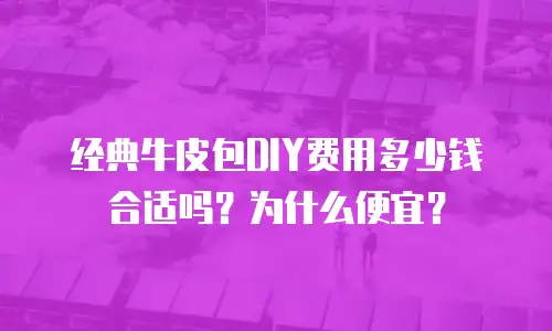 经典牛皮包DIY费用多少钱合适吗？为什么便宜？