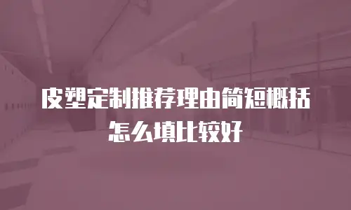 皮塑定制推荐理由简短概括怎么填比较好