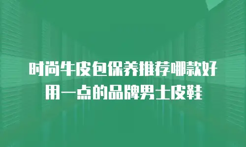 时尚牛皮包保养推荐哪款好用一点的品牌男士皮鞋