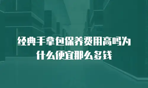 经典手拿包保养费用高吗为什么便宜那么多钱
