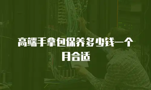 高端手拿包保养多少钱一个月合适