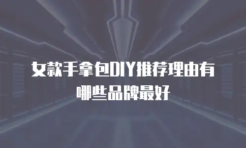 女款手拿包DIY推荐理由有哪些品牌最好
