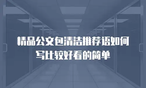 精品公文包清洁推荐语如何写比较好看的简单