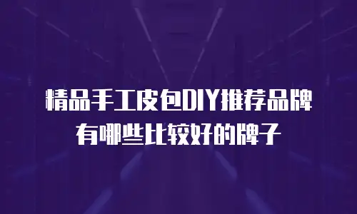 精品手工皮包DIY推荐品牌有哪些比较好的牌子