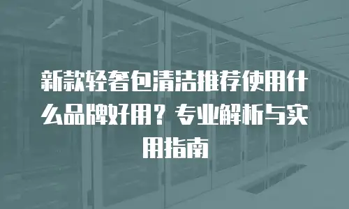 新款轻奢包清洁推荐使用什么品牌好用？专业解析与实用指南