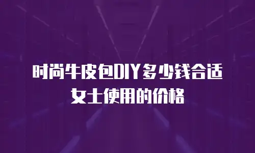 时尚牛皮包DIY多少钱合适女士使用的价格