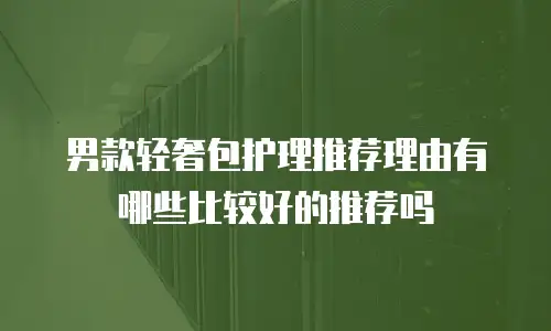 男款轻奢包护理推荐理由有哪些比较好的推荐吗